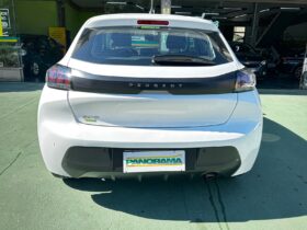 208 1.0 FIREFLY FLEX LIKE MANUAL 2023/2024