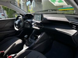 
										208 1.0 FIREFLY FLEX LIKE MANUAL 2023/2024 full									