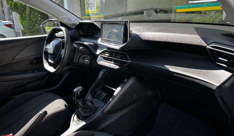 
								208 1.0 FIREFLY FLEX LIKE MANUAL 2023/2024 full									