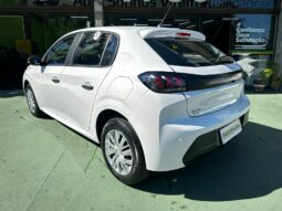 
										208 1.0 FIREFLY FLEX LIKE MANUAL 2023/2024 full									