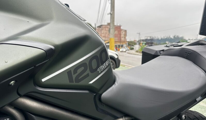 
								TRIUMPH TIGER 1200 XCX 2020 full									