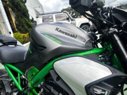 
										KAWASAKI Z900 2026 full									