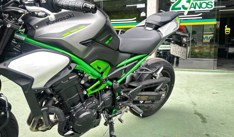 
								KAWASAKI Z900 2026 full									