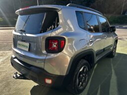 
										JEEP RENEGADE 1.8 16V FLEX 4P AUTOMÁTICO full									
