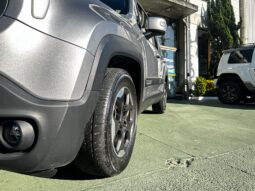 
										JEEP RENEGADE 1.8 16V FLEX 4P AUTOMÁTICO full									
